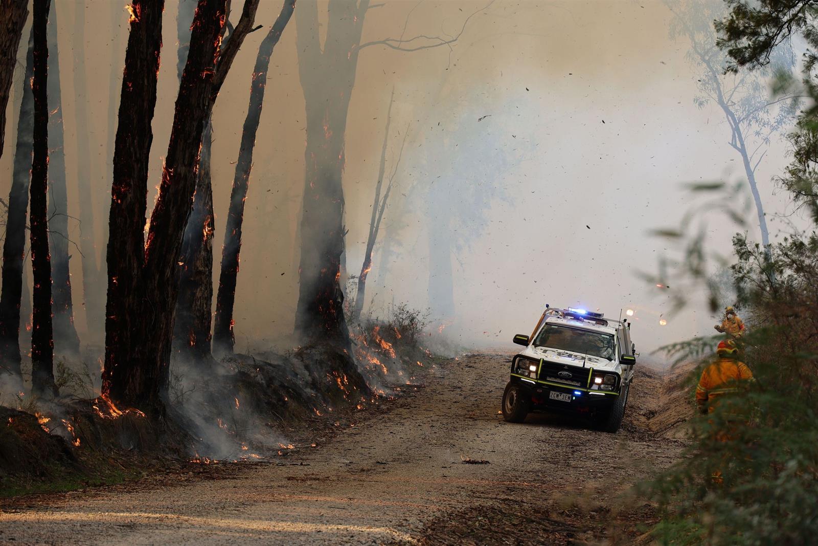 Planned burn at Upper Plenty